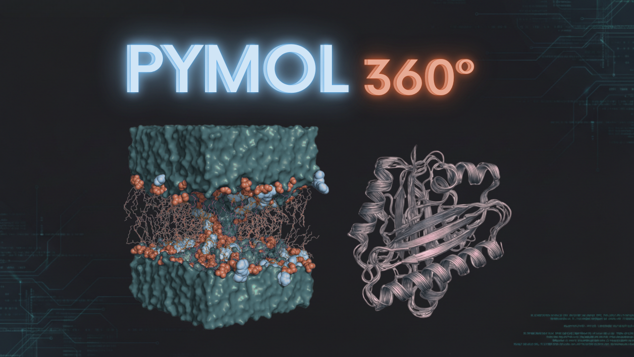 PyMOL 360º